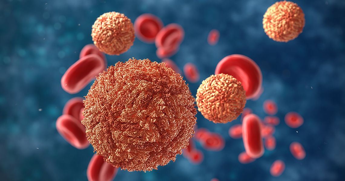 zika virus