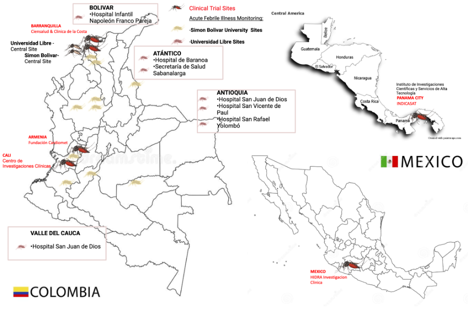 Latin Network Partners