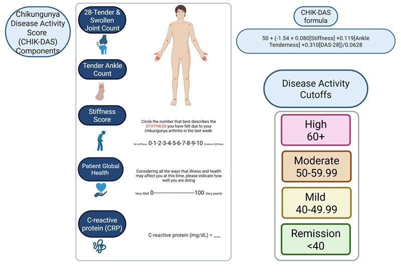 Chikungunya Disease Activity Score (CHIK-DAS) Components